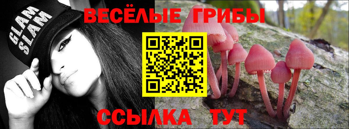 Псилоцибиновые грибы ЛСД  Вход с VPN  Фрязино  Псилоцибиновые грибы MAGIC MUSHROOMS 